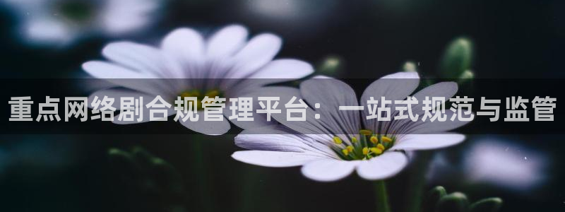 重點網絡劇合規管理平臺：一站式規范與監管