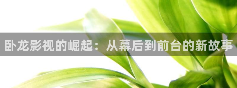臥龍影視的崛起：從幕后到前臺的新故事
