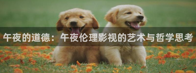 午夜的道德：午夜倫理影視的藝術與哲學思考